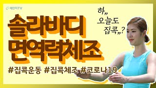 🏠집콕운동집콕체조🏡 솔라바디 면역력 체조  일지면역증강 운동법  면역력이 답이다 [upl. by Fisher]