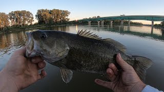 WADING FOR SMALLMOUTH BASS [upl. by Egreog]