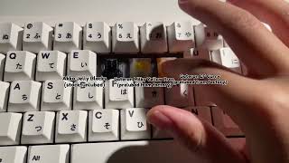 switch comparison Gateron Milky Yellow Pro Gateron EF Curry amp Akko Jelly Blacks [upl. by Amari]