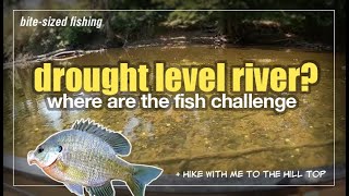 Where To Find Panfish In Drought Challenge From River to Hilltop [upl. by Hgielar989]