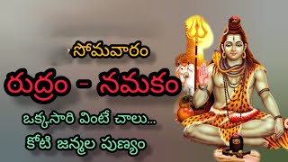 SRI RUDRAM  NAMAKAM  CHAMAKAM  శ్రీ రుద్రం నమకం చమకం [upl. by Aniara]