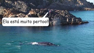 em Arraial do Cabo hoje 200624 🐋🐳🐋 [upl. by Serrano]