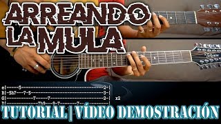 Arreando la mula  Banda R15  Vídeo Demostración  Tutorial  Cover [upl. by Jephum982]