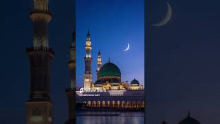 Labbaik ya Rasool Allahmadinahsharif allahhuakber subscribe [upl. by Annaj]