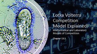 Lotka Volterra Interspecific Competition Model EXPLAINED [upl. by Aseen]