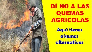 No realices quemas agrícolas mejor haz ésto Discovery Mundo medioambiente agriculturasostenible [upl. by Denice]