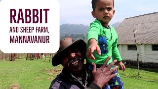 Mannavanur village kodaikanal  Mannavanur Rabbit and sheep farm  Tamil vlogs  DrBalas vlog [upl. by Ddot51]