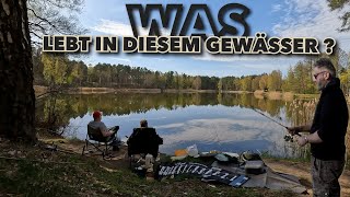 Ansitzangeln am Teich  Feederrute Grundmontage gegen Pose  Wer fängt die meisten Fische 🐟 [upl. by Westley]