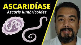 Ascaridíase Ascaris lumbricoides ou lombriga ciclo de vida diagnóstico etc  Parasitologia [upl. by Anitel60]