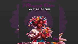 ST LUCIA SOCA 2024  TI MARGUERITE RIDDIM MIX BY DJ LEVI CHIN  ZOUK  KOMPA 2024 [upl. by Ahsenod]