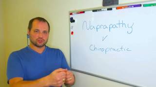 Naprapathic Medicine vs Chiropractic [upl. by Ambros594]