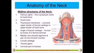 Triangles of the Neck  Dr Yusuf [upl. by Woll]