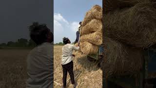 Gaddi thechinam vlog  village lifestylevlog villagelife villagevlog vlog [upl. by Mccowyn]