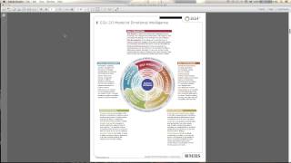 The EQ i 2 0 Debrief Webinar 2013 10 18 10 00 AM [upl. by Nyad]