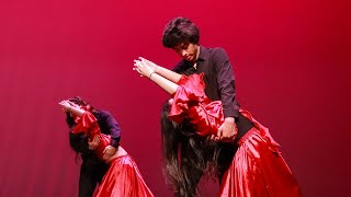 Persian Modern Couples Dance  24th Annual Nowruz Show at Umich [upl. by Ives]