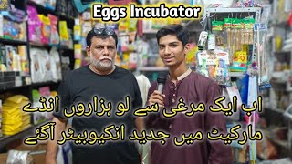 The Best Incubator For Hatching Eggs  Imported Incubator At MB Trader Nazimabad Karachi  Pets [upl. by Enialehs]