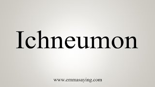 How To Say Ichneumon [upl. by Barmen821]