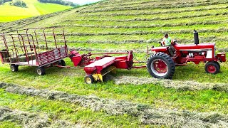 Baling Hay On A Small Family Farm l 2nd Crop Alfalfa Hay l 2024 Hay Season [upl. by Crellen]