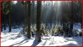 Morgens im Taunus kleine Winterwanderung  Limeserlebnispfad Impressionen [upl. by Alberta]