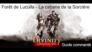 19  Divinity Original Sin  Guide commenté FR HD  Forêt de Luculla  La cabane de la Sorcière [upl. by Doralia]