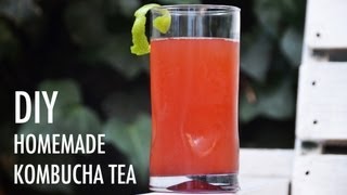 DIY Homemade Kombucha Tea Recipe [upl. by Novaelc552]