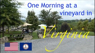 One Morning at a Vineyard in Virginia  Barrel Oak Winery amp Brewery in Delaplane VA [upl. by Pearl453]