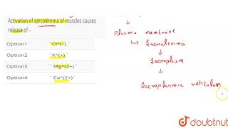 Activation of sarcolemma of muscles causes release of – [upl. by Ecadnak]