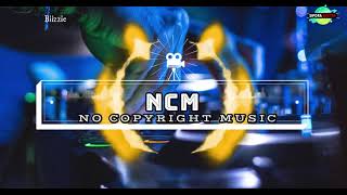 The Best NO COPYRIGHT MUSIC  Bizzie [upl. by Checani730]