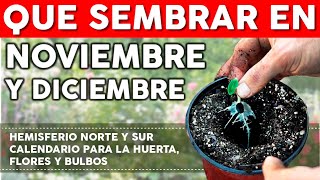 Que sembrar en NOVIEMBRE y en DICIEMBRE  Calendario de SIEMBRA 2021 [upl. by Rehpoitsirhc]