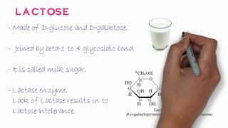 Biochemistry of Oligosaccharides [upl. by Pavier]