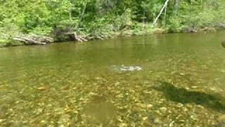 Maine Fly Fishing Weatherbys Grand Lake Stream [upl. by Crary]