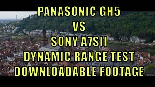 Panasonic GH5 vs Sony A7Sii [upl. by Grantland793]