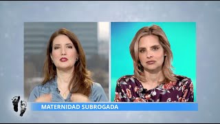 InformeProvida MATERNIDAD SUBROGADA  19 de Abril de 2024 [upl. by Ahsiret]