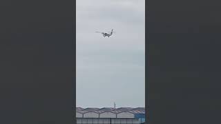 detik detik pesawat N219 terbang videoshort pesawat aviation [upl. by Yeldua]