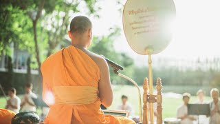 7Day Meditation Retreat in Thailand Dhammakaya Meditation Retreat DMR [upl. by Rudolfo855]