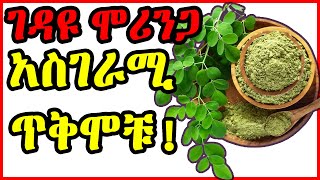 ይሄን ቪዶ ሳታዩ ሞሪንጋ አትጠቀሙ የሞሪንጋ ጉዳት  የሞሪንጋ ጥቅም ሞሪንጋ ሻይ ሽፈራው Amazing Health benefits of moringa 2024 [upl. by Danzig715]