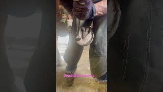 hoof hooftrimming barefootlife satisfying shortsvideo [upl. by Anelrad]