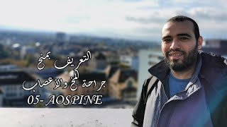 منح جراحة المخ والأعصاب 05 AOSPINE [upl. by Anuhsal]