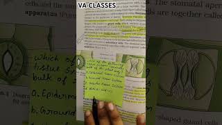 Anatomy of Flowering plants Mcq neet neetexam neet2025 biology mcq pyq mbbs shorts aiims [upl. by Airtina406]