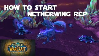 How to Get Started with the Netherwing Faction and Get your Netherwing Drake [upl. by Etnahsa284]