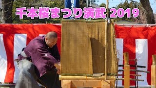 【日本刀】千本桜まつり居合抜刀道演武2019 Japanese sword Tameshigiri [upl. by Ibbetson284]