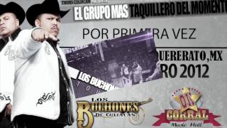 Los Buchones De Culiacan  Fiesta de Corridos Audio Oficial [upl. by Munn]