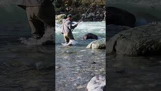 I caught a salmon in a huge currentI ❤️ salmon fishing Vedder river Canada 🇨🇦 32 [upl. by Neal]