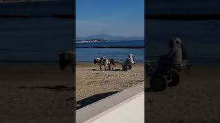 Scauri di Minturno la carrozzella a passeggio sulla spiaggia [upl. by Ainessej]