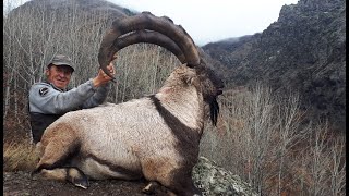 BEZOAR IBEX HUNTING TURKISH FRONTIER amp MUSTAFA YILMAZ [upl. by Mourant567]