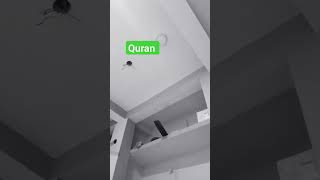 Quran translation 🕋youtubeshorts qurantranslation allahhukbar islamicvideo explore edit fypag [upl. by Kcirddahc975]