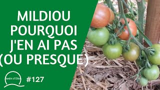 127Mildiou pourquoi jen ai pas ou presque [upl. by Hoagland]