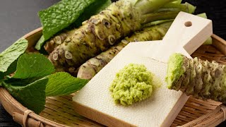 Как делают васаби  How to make Wasabi  mù tạt [upl. by Domineca]