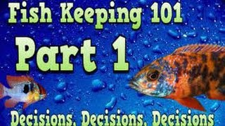 Fish Keeping 101 Part 1 Decisions Decisions Decisions Tank Talk Presented By KGTropicals [upl. by Dinsmore]