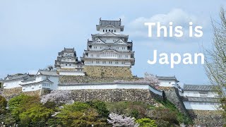 How to Spend 14 Days in Japan  on a Intrepid Guided Tour  Classic Japan [upl. by Eeliah]